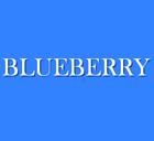 Blueberry Daycare Centre & Early Years School