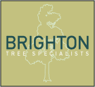 Brighton Tree Specialists