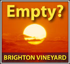 Brighton Vineyard