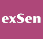 Exsen Ltd